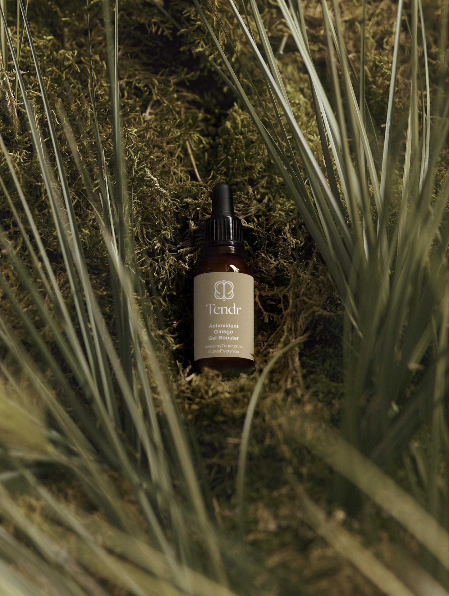 Antioxidant Ginkgo Gel