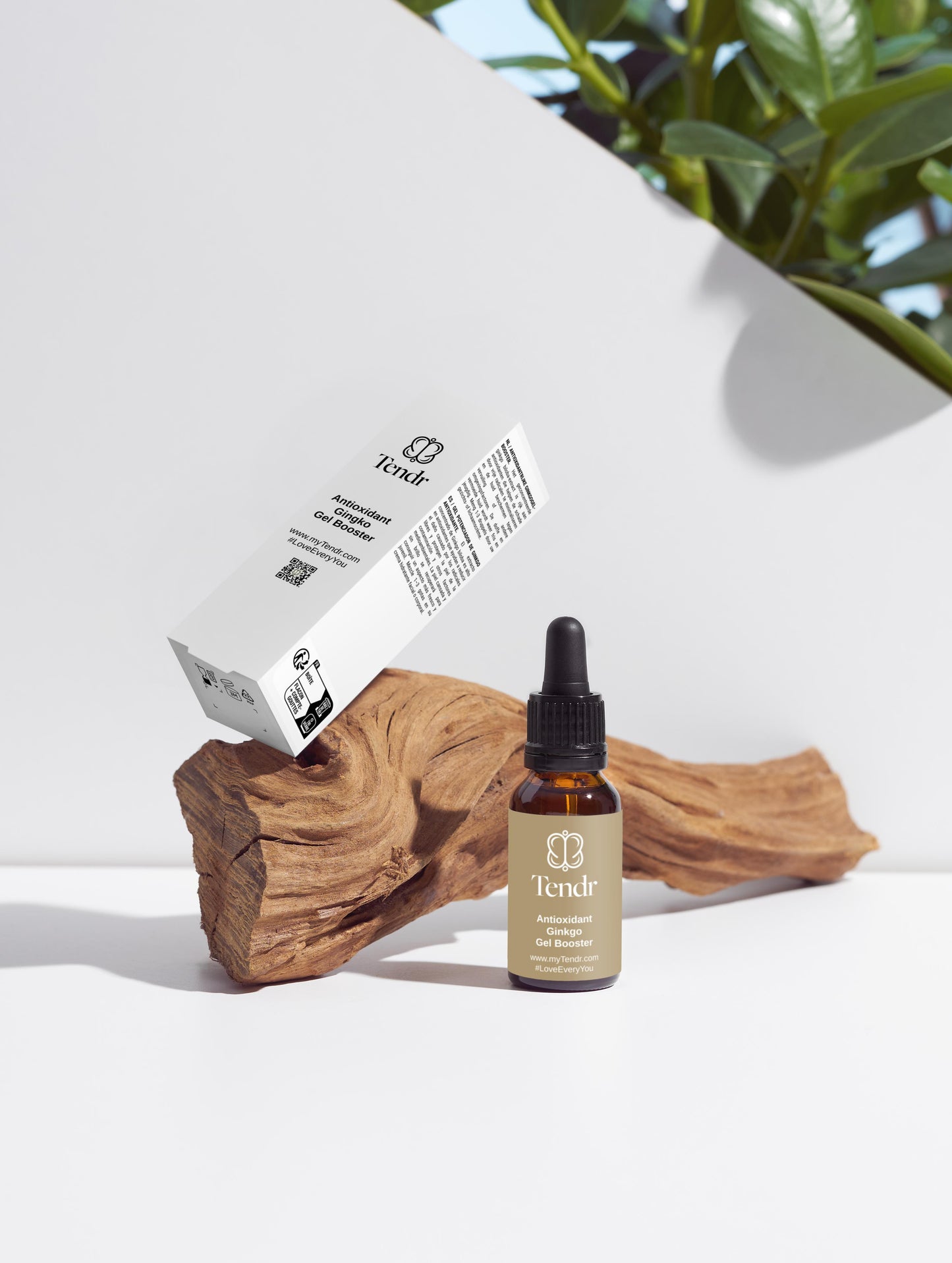 Antioxidant Ginkgo Gel